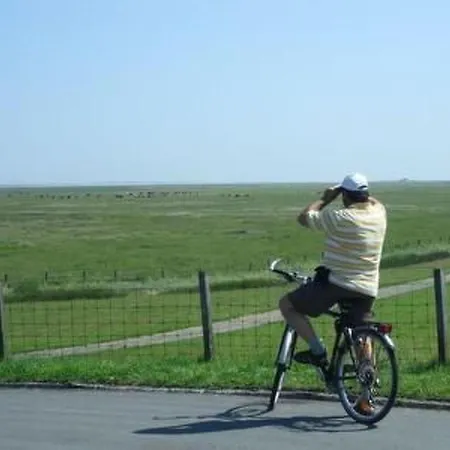 Lejlighed Geraeumige Mit Garten Und Grill By Interhome Berumbur